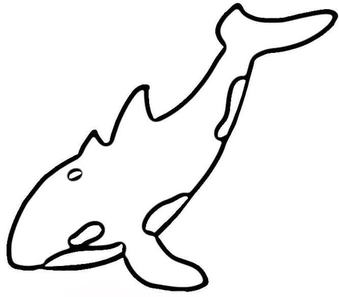 Orca whale Coloring page