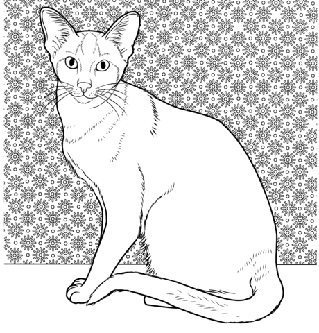 Oriental Siamese Cat  Coloring page