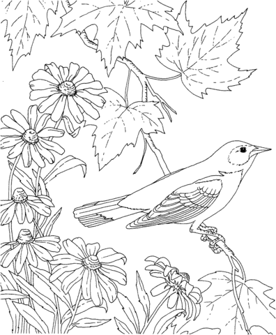 Baltimore Oriole and Black-Eyed Susan Maryland Bird and Flower Coloring page