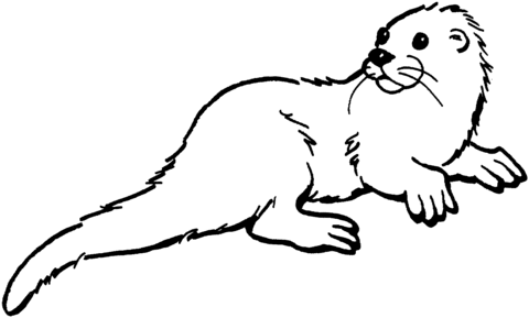 Otter 1 Coloring page