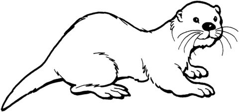 Otter 2 Coloring page