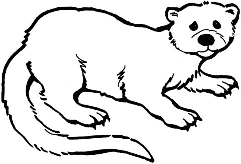 Otter 3 Coloring page