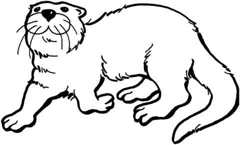 Otter 5 Coloring page