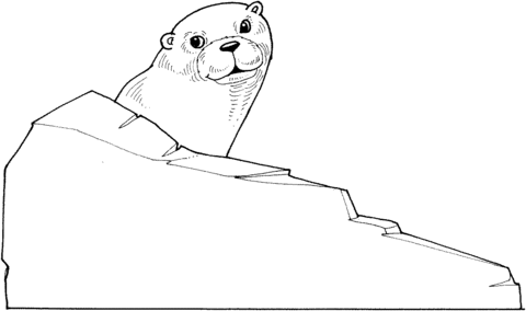 Otter Behind A Rock Coloring page