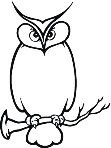 Owl 11 Coloring page