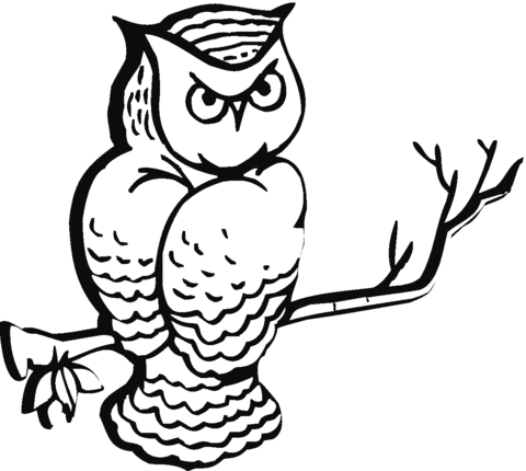 Owl 12 Coloring page