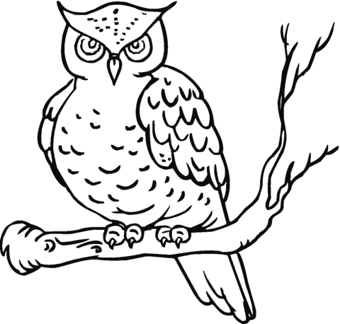 Owl 14 Coloring page