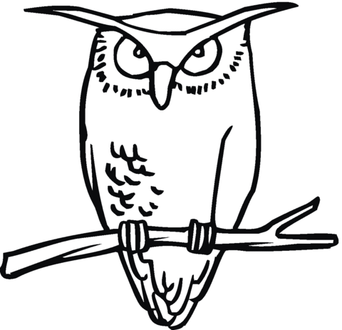 Owl 15 Coloring page