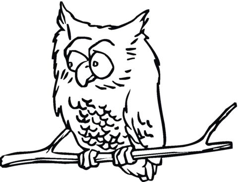 Owl 16 Coloring page