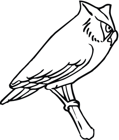 Owl 17 Coloring page