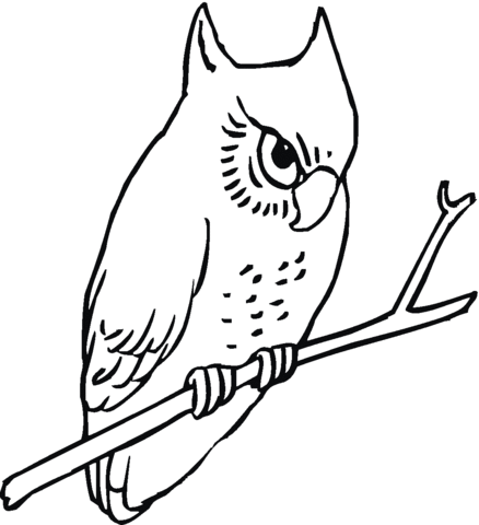 Owl 18 Coloring page