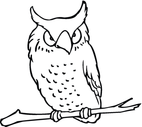 Owl 19 Coloring page