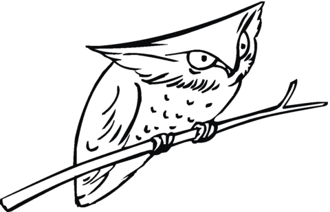 Owl 20 Coloring page