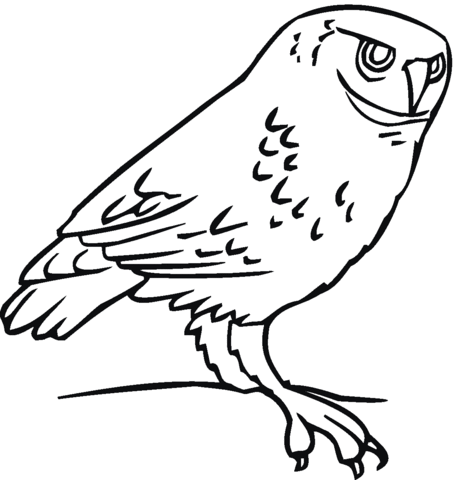 Owl 23 Coloring page