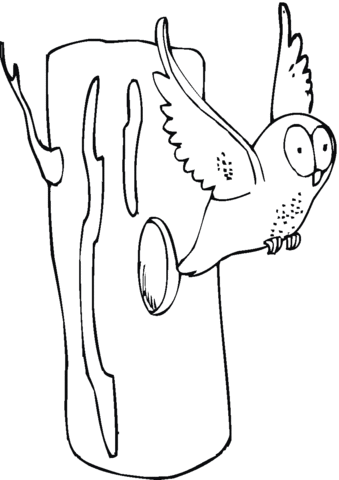 Owl fly away from its nest Coloring page