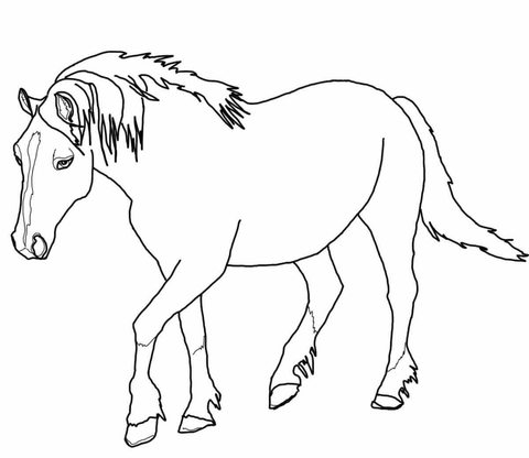 Palomino Welsh Horse Coloring page