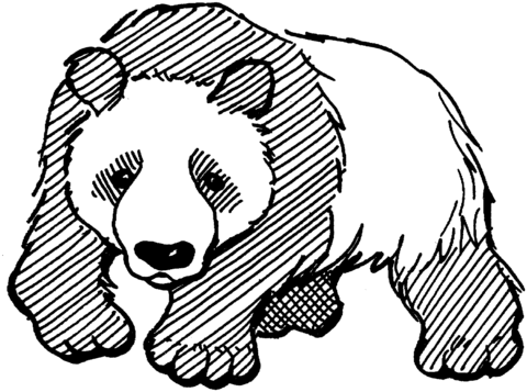 Panda Coloring page