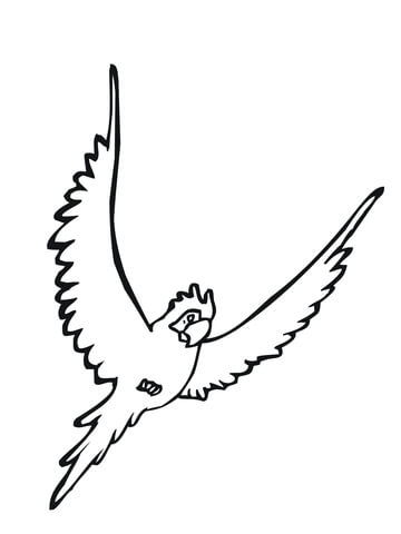 Parakeet Bird Coloring page