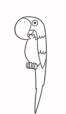 Parrot Coloring page