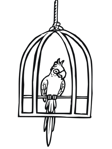 Parrot in a Cage Coloring page