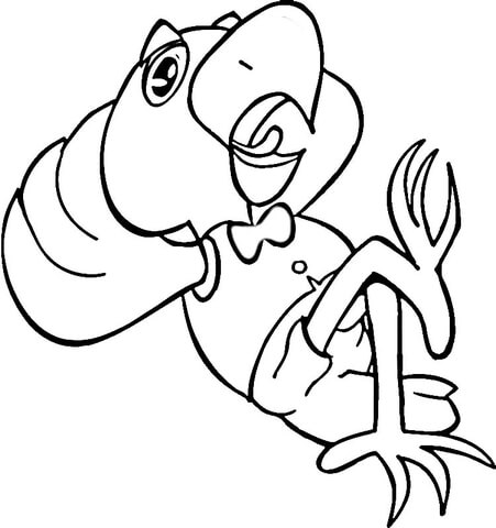 Cartoon Parrot Coloring page