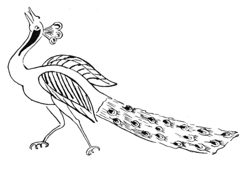 Peacock 23 Coloring page