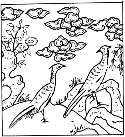 Peacock 8 Coloring page