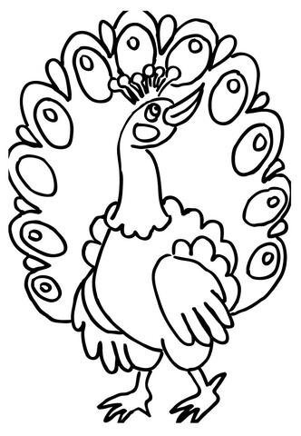 Peacock Bird Coloring page