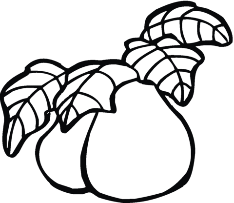 Pear 18 Coloring page