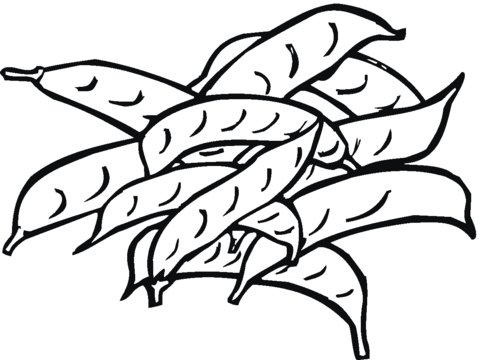 Peas 15 Coloring page