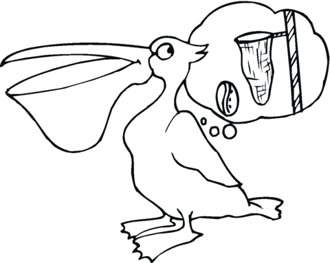 Pelican 16 Coloring page