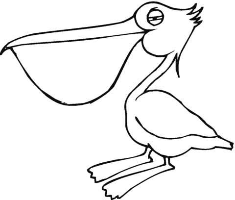 Pelican 17 Coloring page