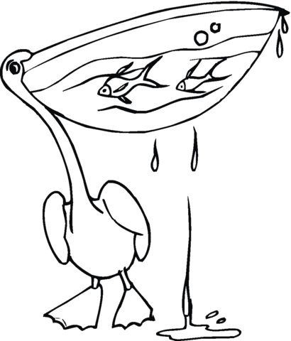 Pelican 18 Coloring page