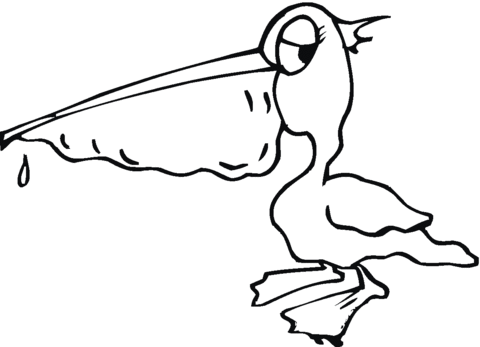 Pelican 19 Coloring page