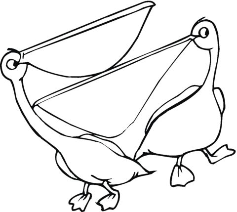 Pelican 21 Coloring page