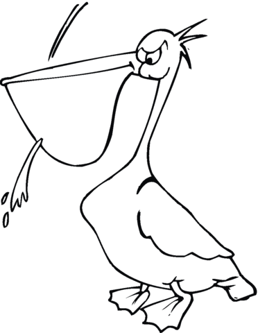 Pelican 22 Coloring page