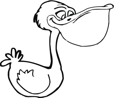 Pelican 24 Coloring page