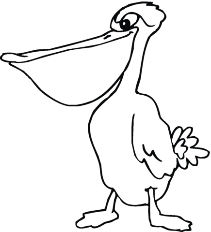 Pelican 25 Coloring page