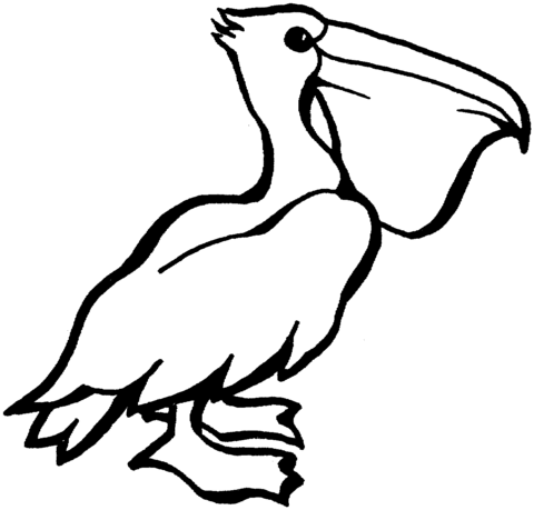 Pelican 5 Coloring page