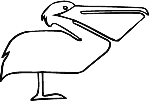 Pelican 8 Coloring page