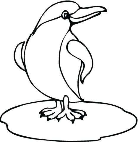 Penguin 11 Coloring page