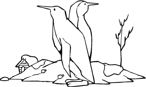 Penguin 23 Coloring page