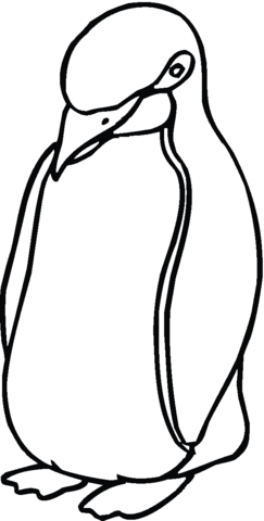 Penguin 6 Coloring page