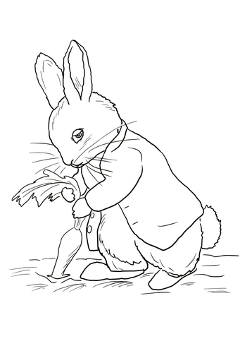 Peter Rabbit Stealing Carrots Coloring page