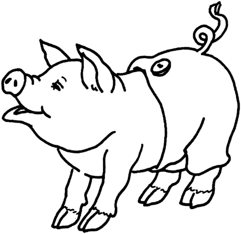 Cute Pig Coloring page