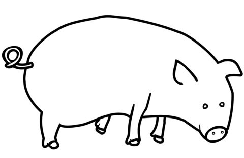 Pig Coloring page