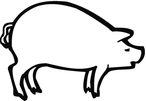 Pig sow Coloring page