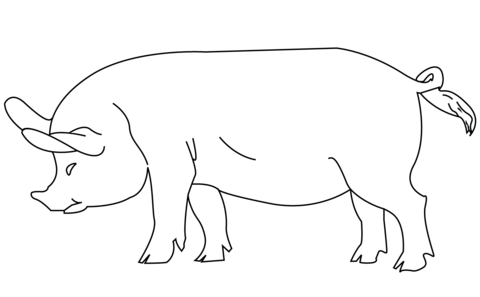 Pig Coloring page