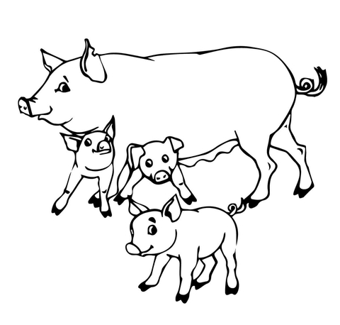 Pig Mother and Baby Pigs Coloring page