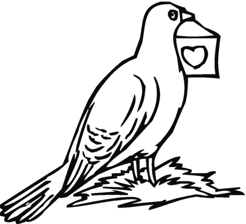 Pigeon 10 Coloring page